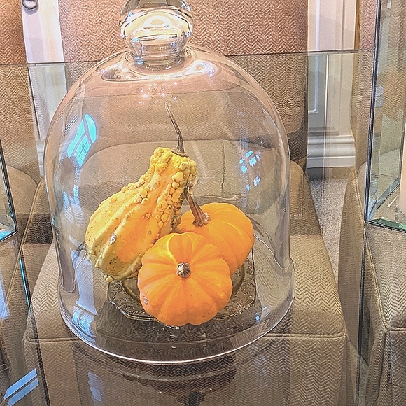 Bell shape glass dome 12" X 10.5" - Picture 7 of 10